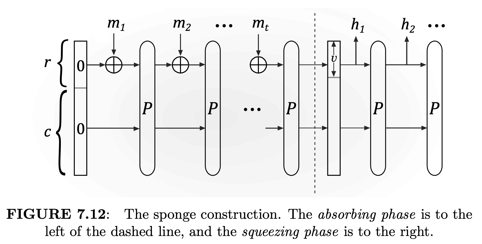 sponge_construction.png